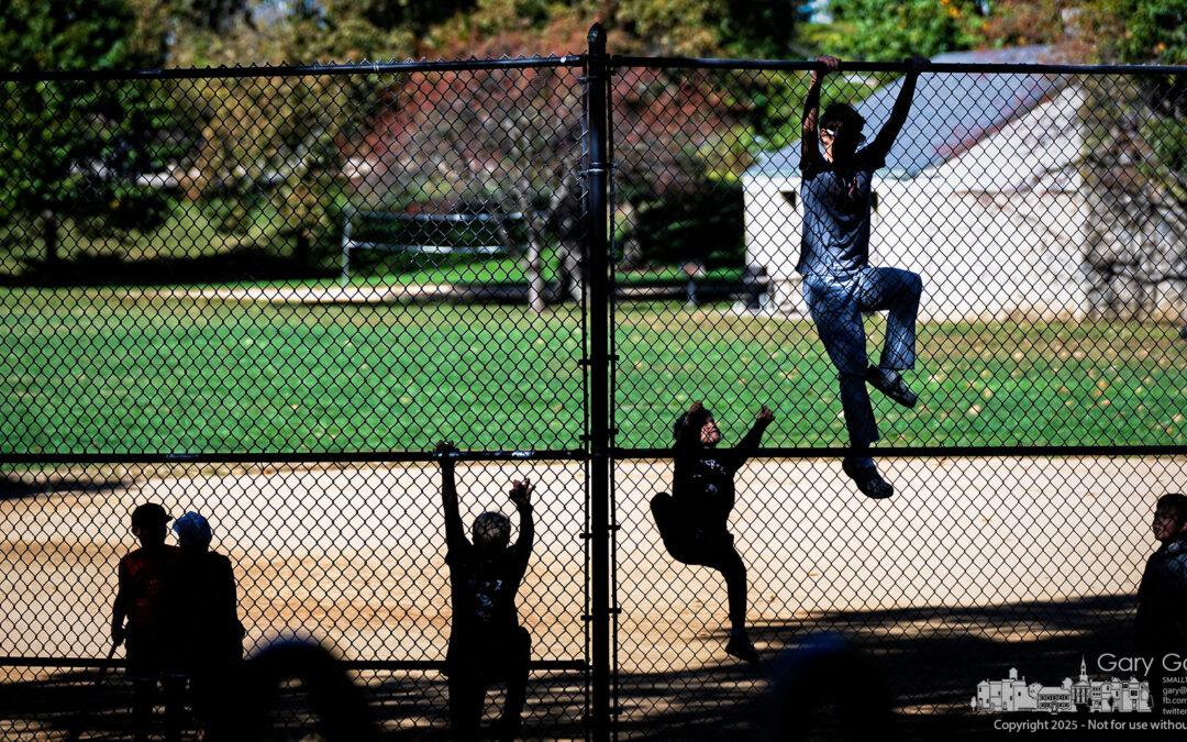 Home Run Celebration