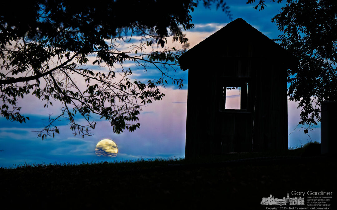 Sharp Harvest Moon
