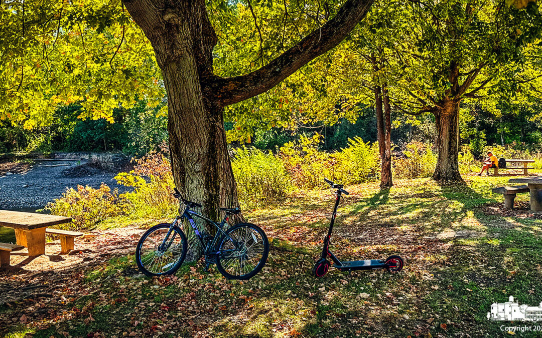 Waiting in the Shade