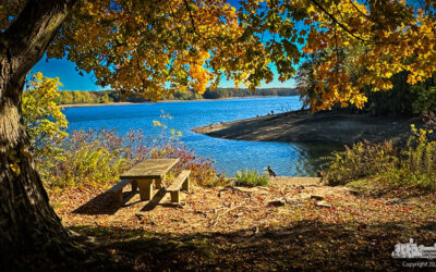 Autumn Calm at Red Bank