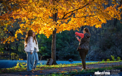 Snapshot of the Season