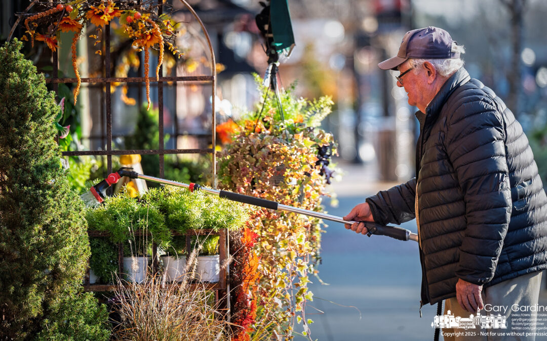 Still Watering: Dave on State Street