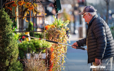 Still Watering: Dave on State Street
