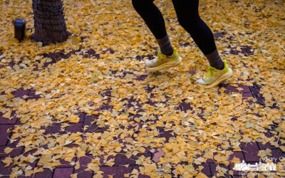 Running Through the Fall