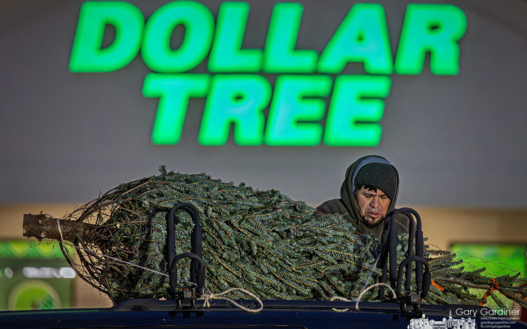 Christmas Tree Topping