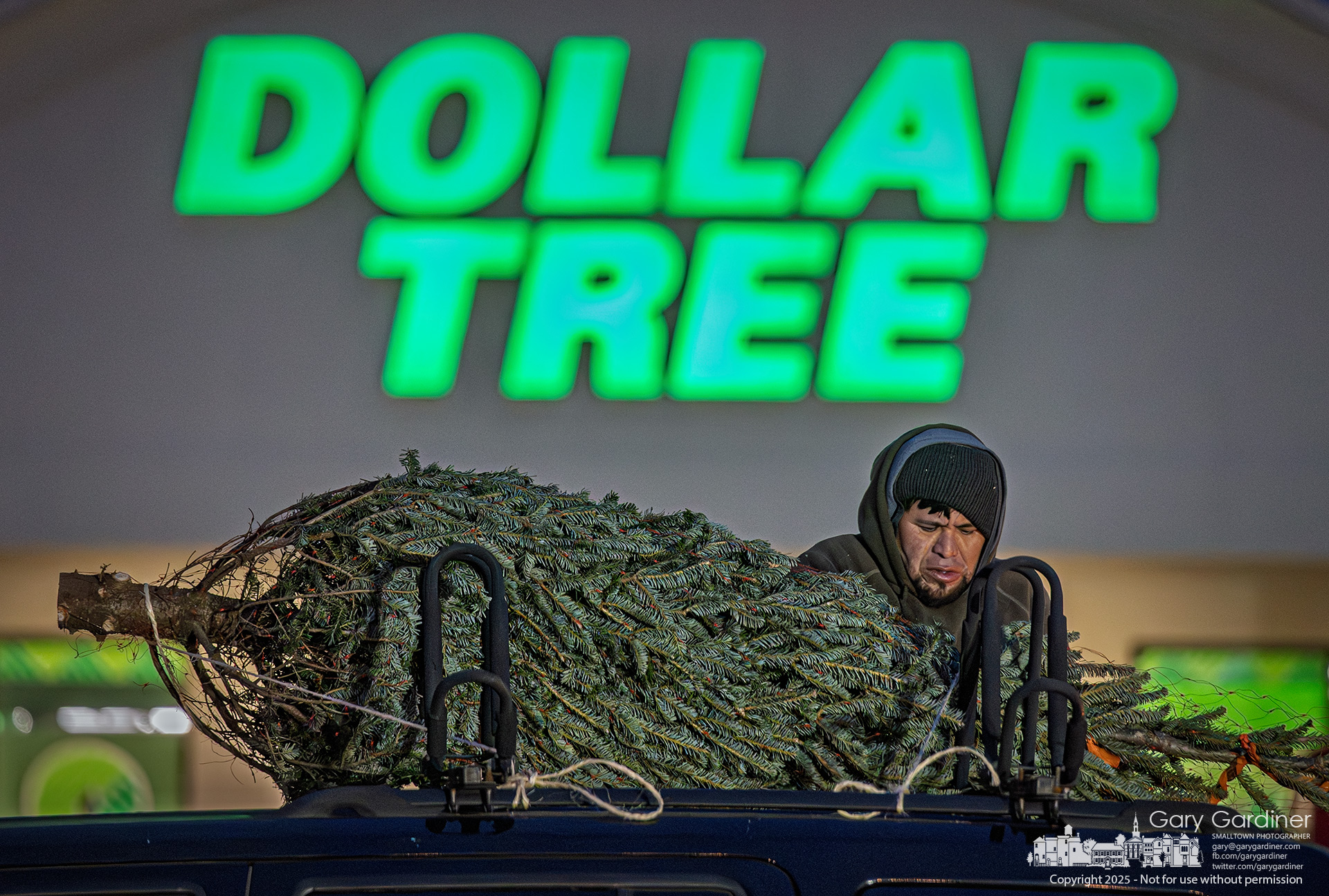 One of the elfin helpers at Glengary Shopping Center tied a tree to the roof of a car parked in front of Dollar Tree in the early evening on Black Friday. My Final Photo for November 28, 2025.