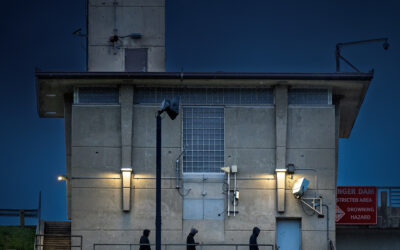 Walk After Thanksgiving