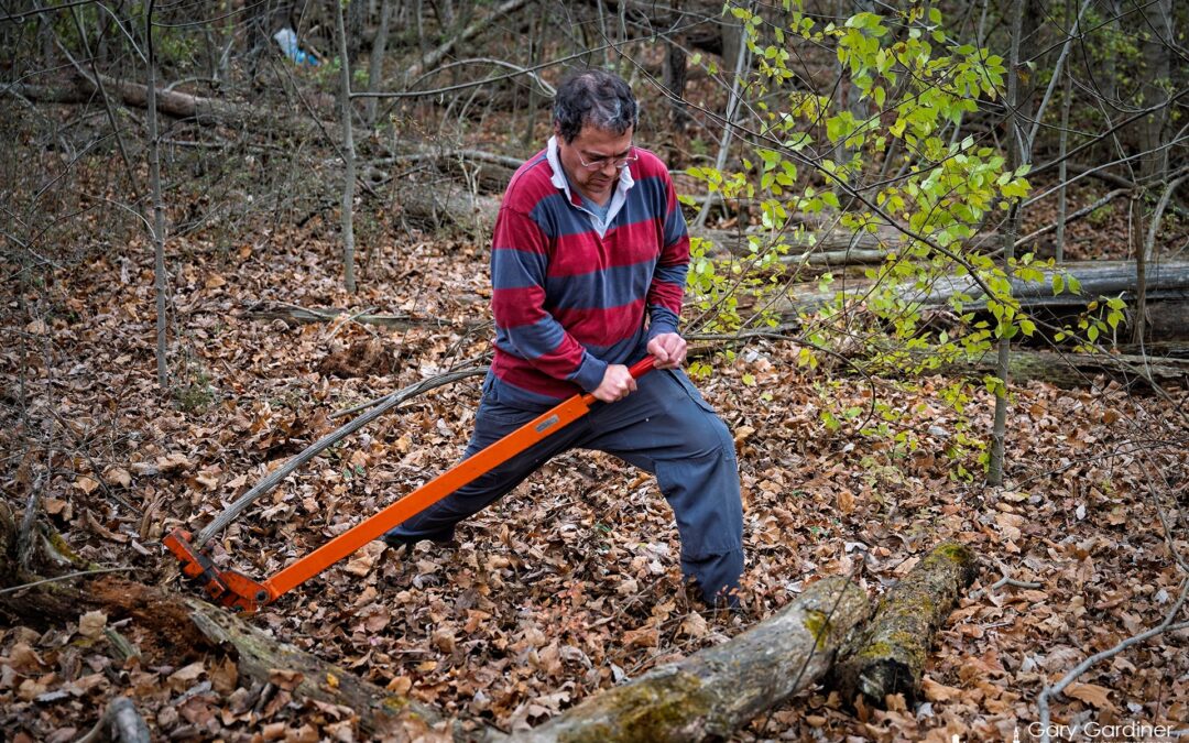Leaning Into Cleaning
