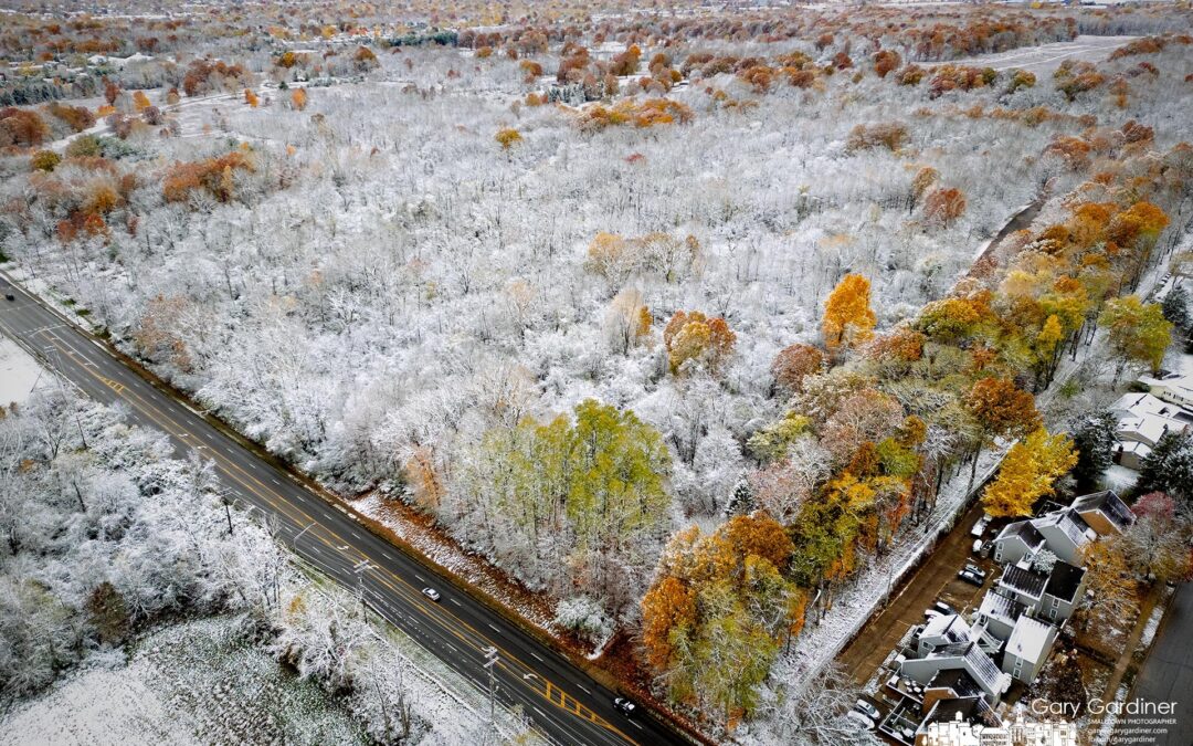 Sharon Woods Snowfall