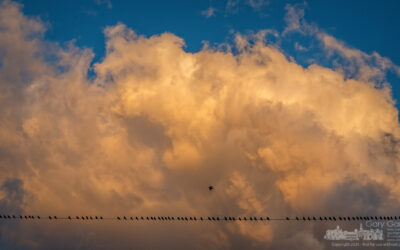Sky Show Over Yarnell Farm
