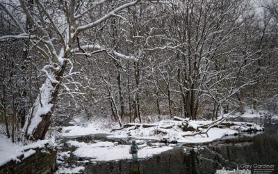 Snow Perfect Fishing