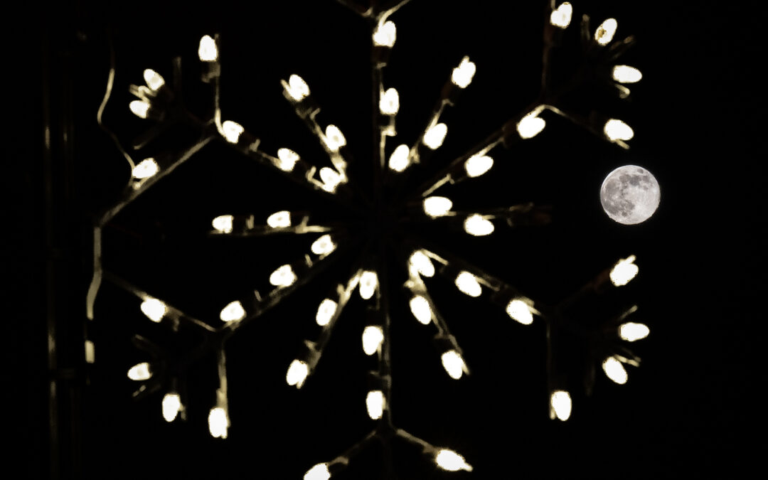 Full Moon Snowflake