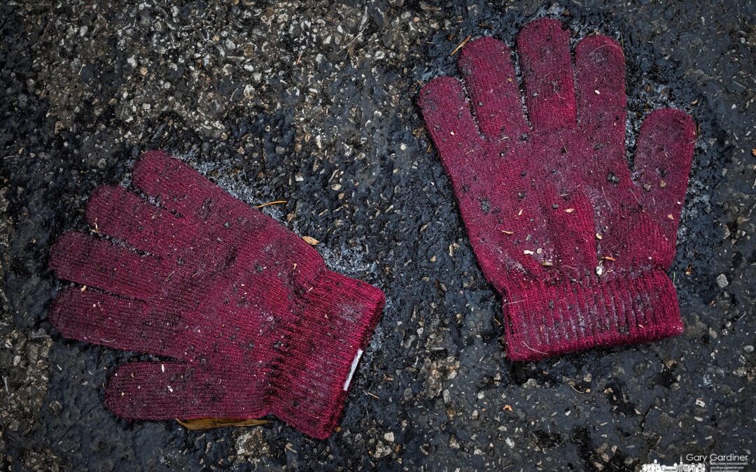 After the Snow Melted