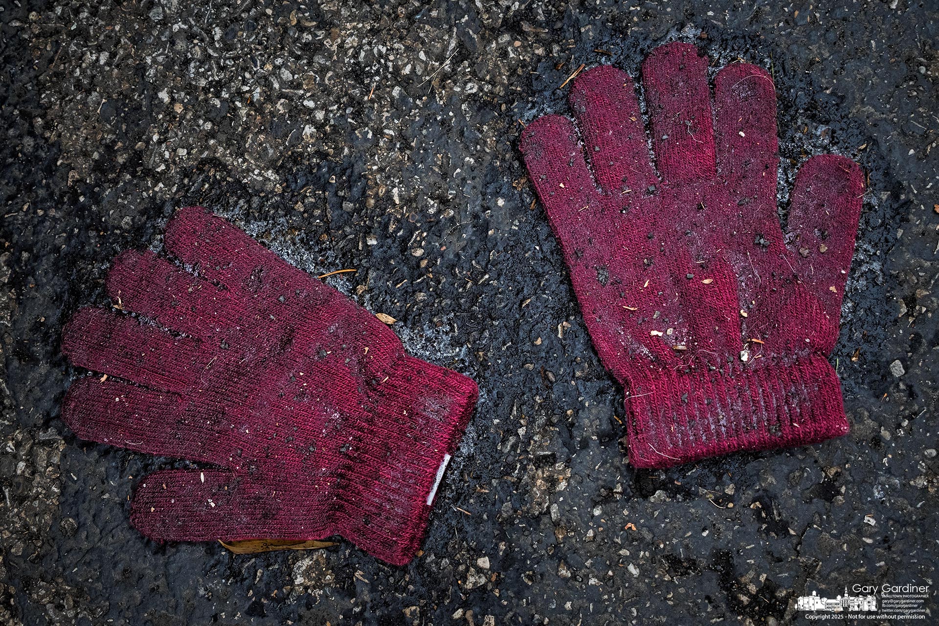 A pair of children's woven gloves lies wet, flat, and abandoned in an Uptown parking lot after the latest snowfall melted. My Final Photo for December 11, 2025.