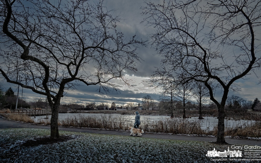 Wetlands Winter Walk