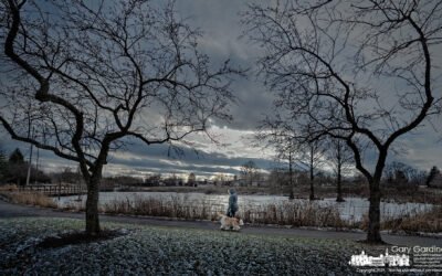 Wetlands Winter Walk