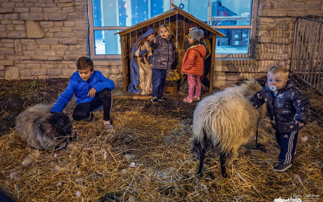 Loving The Living Nativity