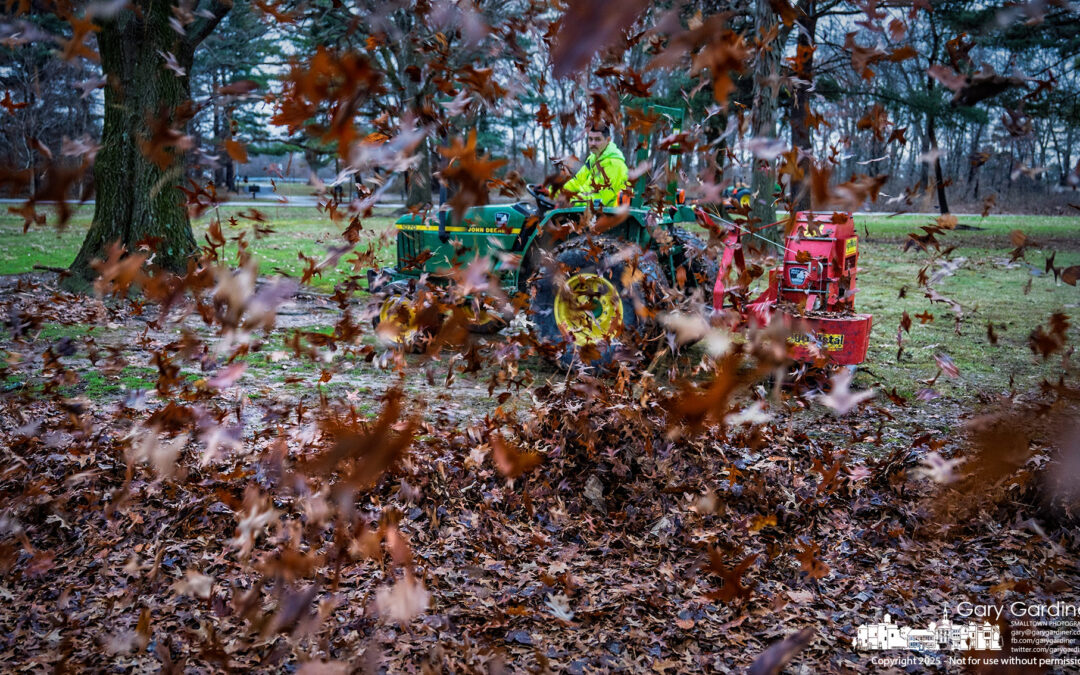 Wet Leaves, Fast Work