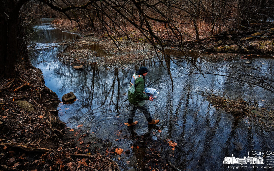 Into The Creek Shallows
