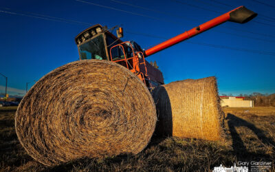 Deceptively Warm Look