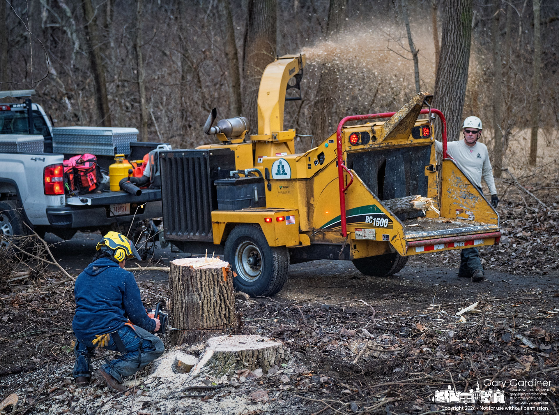 A city electric crew works along West Schrock Road, cutting away a freshly felled tree stump as the upper portion is fed into a wood chipper to protect nearby power lines. My Final Photo for January 6, 2026.