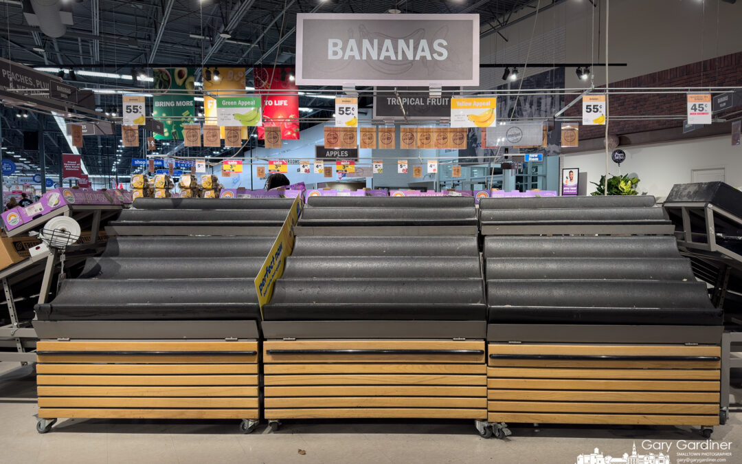 Yes, we have no bananas