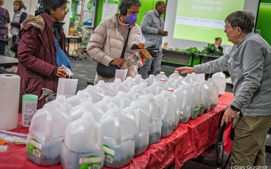 Gallon Jug Greenhouses