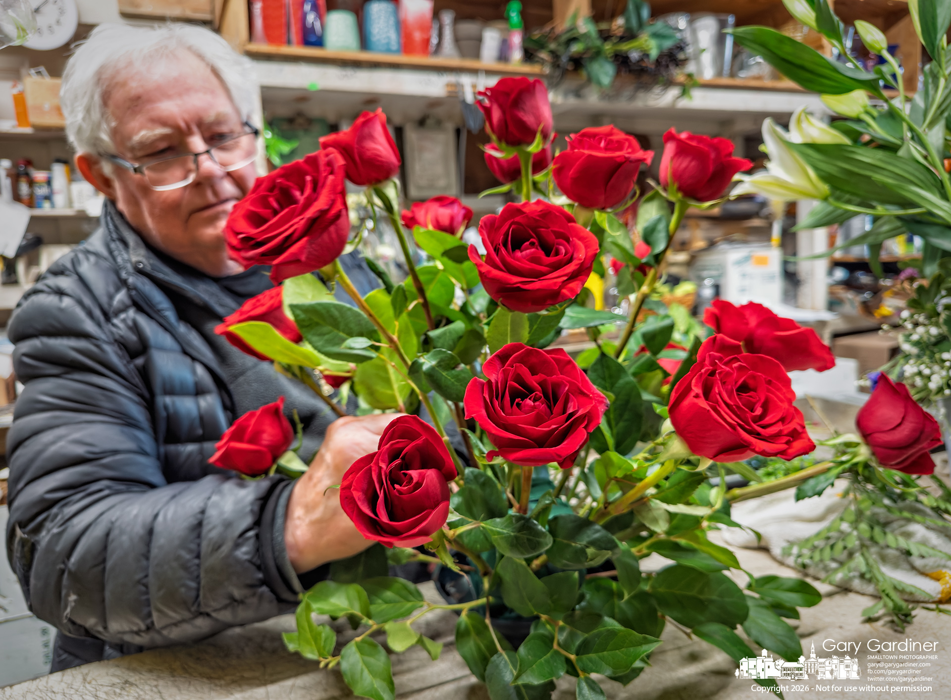 Dave Talbott arranges a dozen of the 1,500 roses he ordered for Valentine's Day at his Uptown florist shop. (My Final Photo for February 14, 2026)