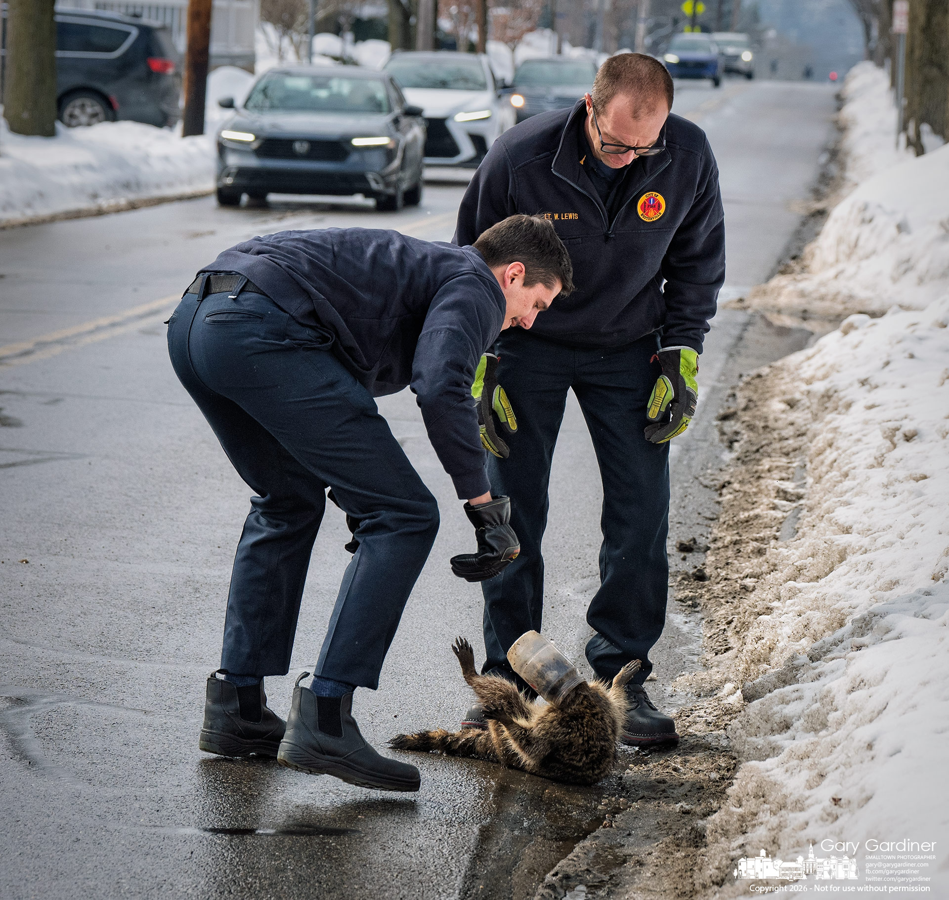 Westerville firefighters work to free a raccoon that had a plastic jar stuck on its head as it wandered between cars on West Main Street in Uptown. (My Final Photo for February 6, 2026)