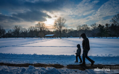 Winter Walk At Sharon Woods