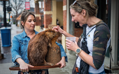 Beaver Curiosity