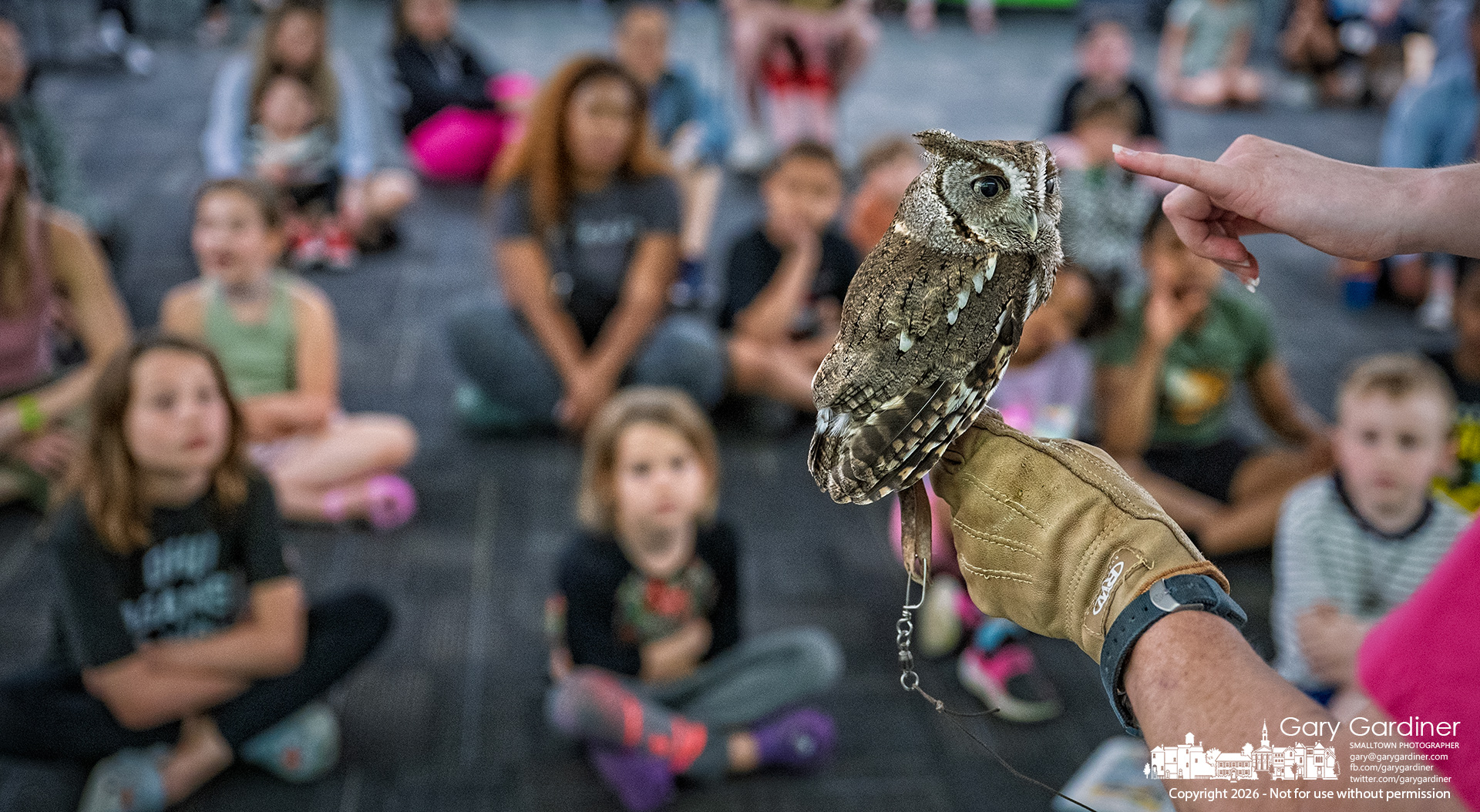 A handler points out the feather tufts on a screech owl from the Glen Helen Raptor Center, shown to children at the Westerville Library Tuesday afternoon. (My Final Photo for March 31, 2026)