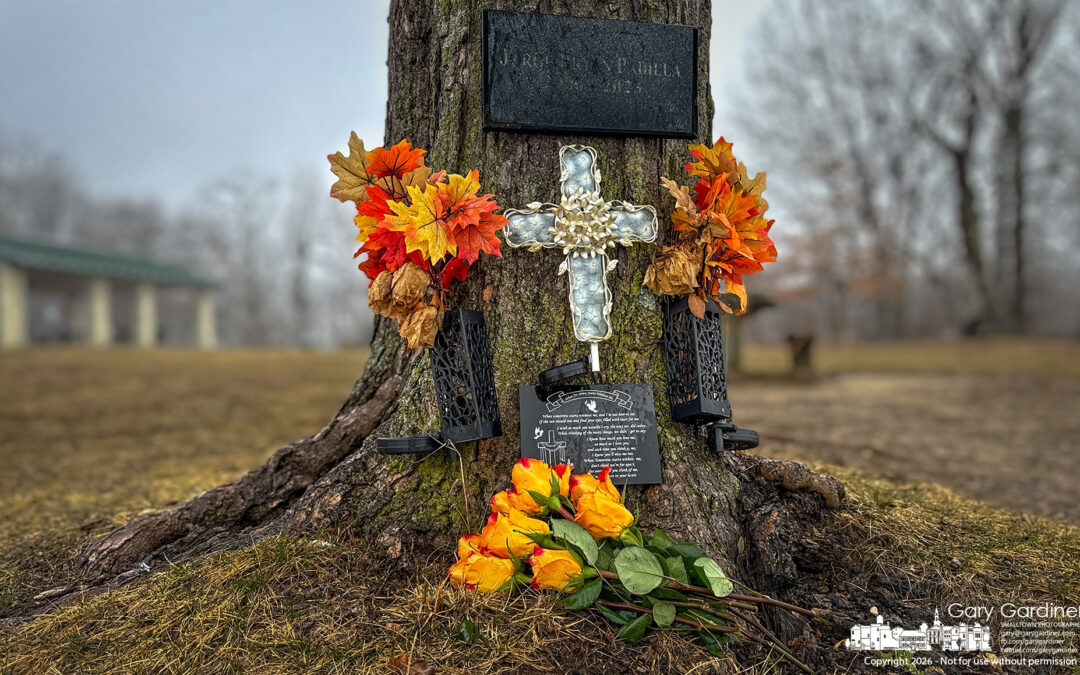 Fresh Roses Remembrance