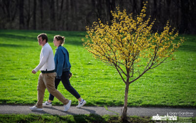 Colorful Walk On West
