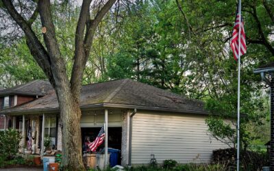 4, 5, and 6 of 250 Flags