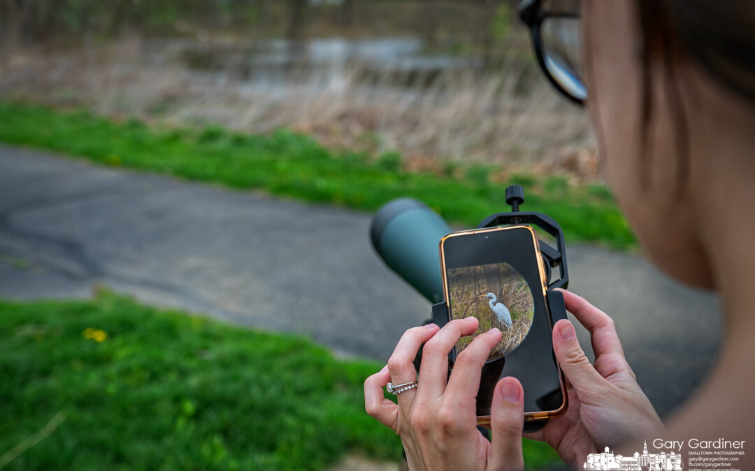 Birdwatching Success