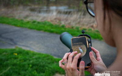 Birdwatching Success