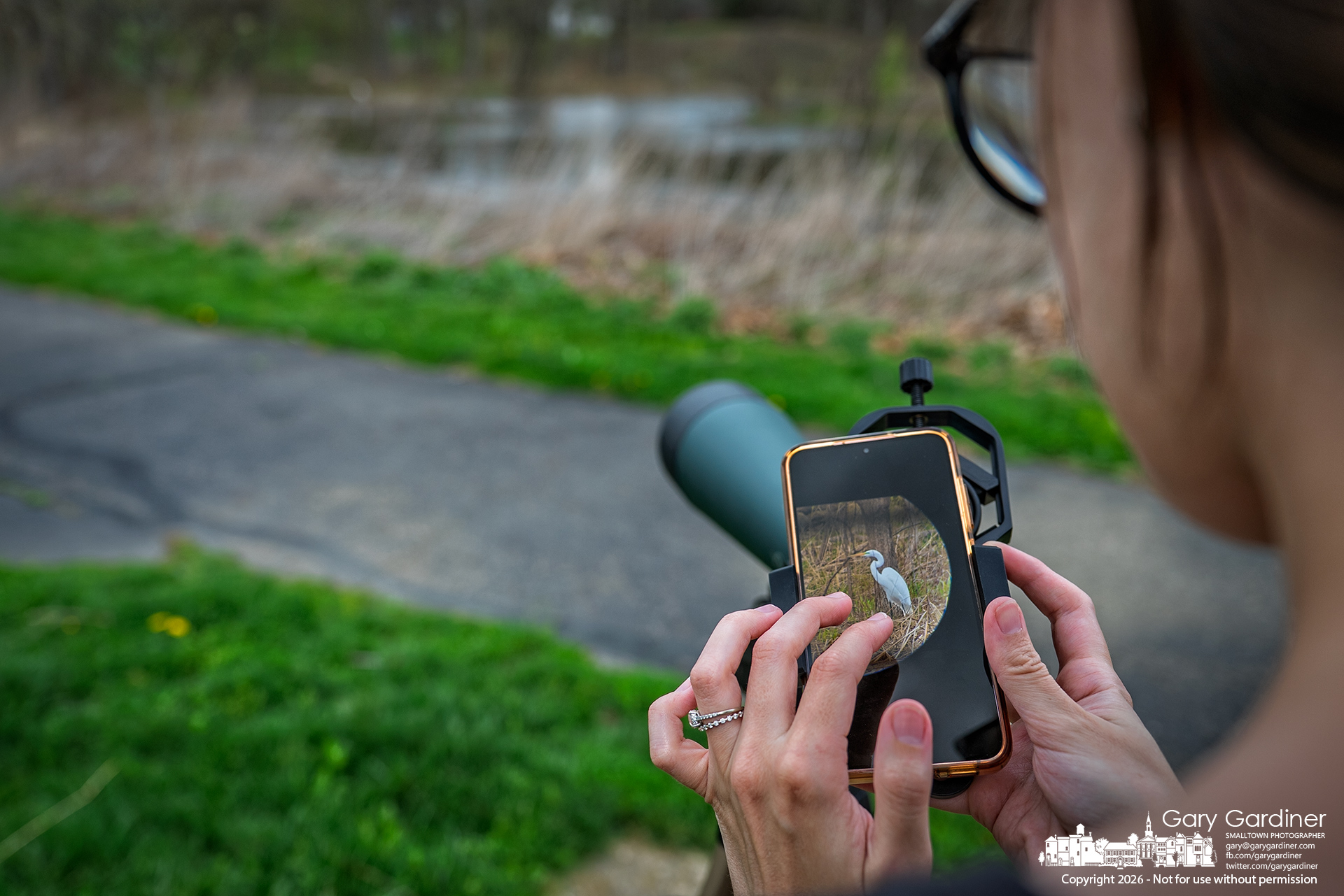 A birdwatcher checks the result of the first photo she made of a distant egret at the Highland Wetlands after attaching her phone to a spotting scope. (My Final Photo for April 4, 2026)