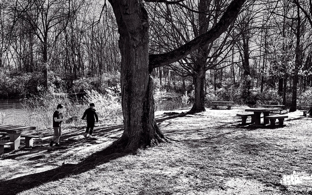 Boys Play. Mom Reads.