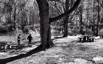 Boys Play. Mom Reads.