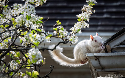 Dinnertime At the Bank