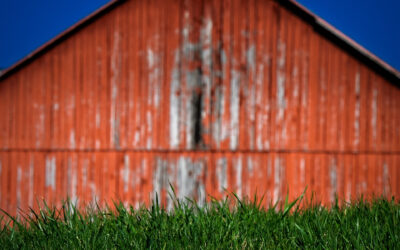 Red, Green, Blue, and Yellow