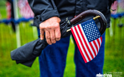 Field of Heroes and An Umbrella