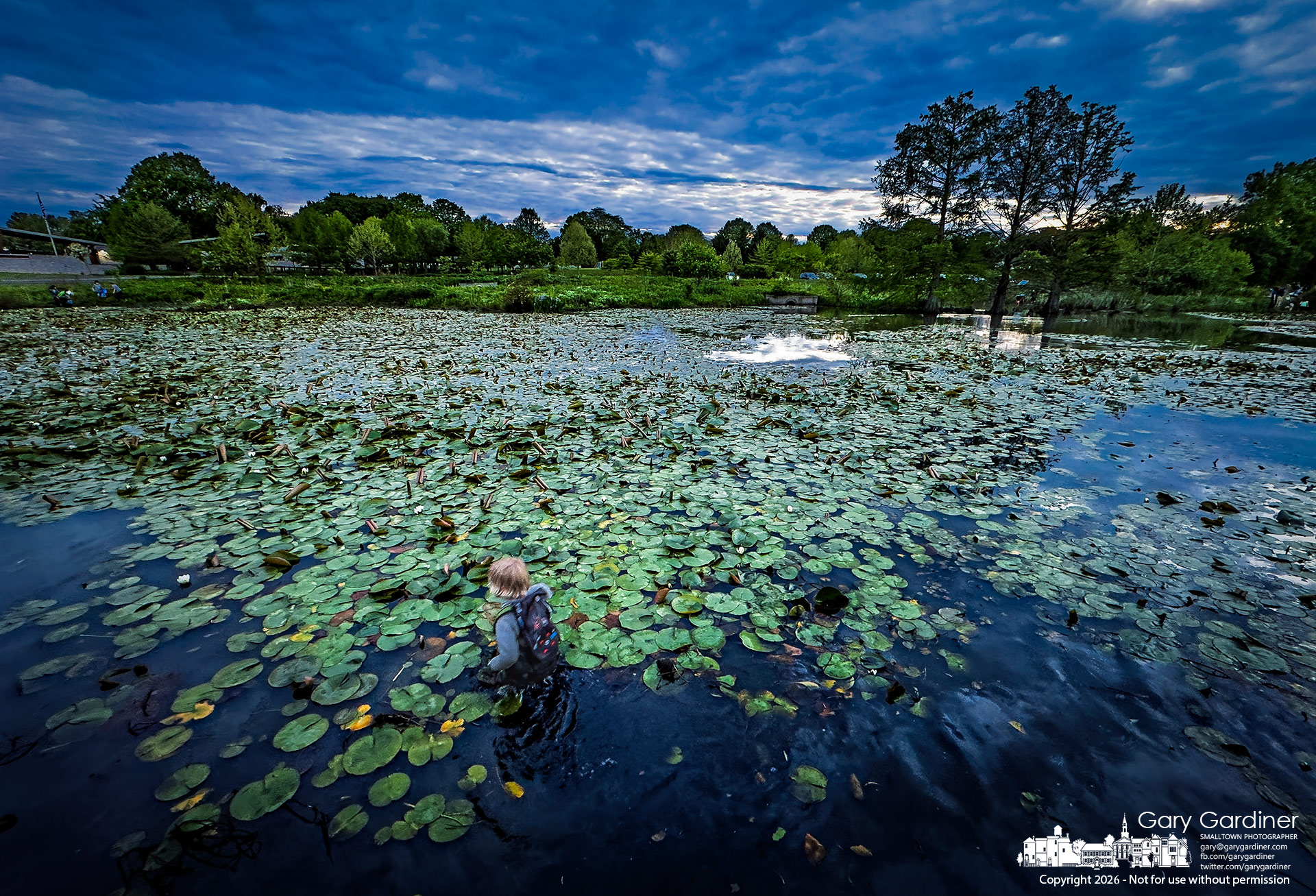 A young boy wearing waders walks through the shallow Highlands wetland pond searching for amphibians, fish, and reptiles during Frog Friday at the park. (My Final Photo for May 15, 2026. Photo by Gary Gardiner)