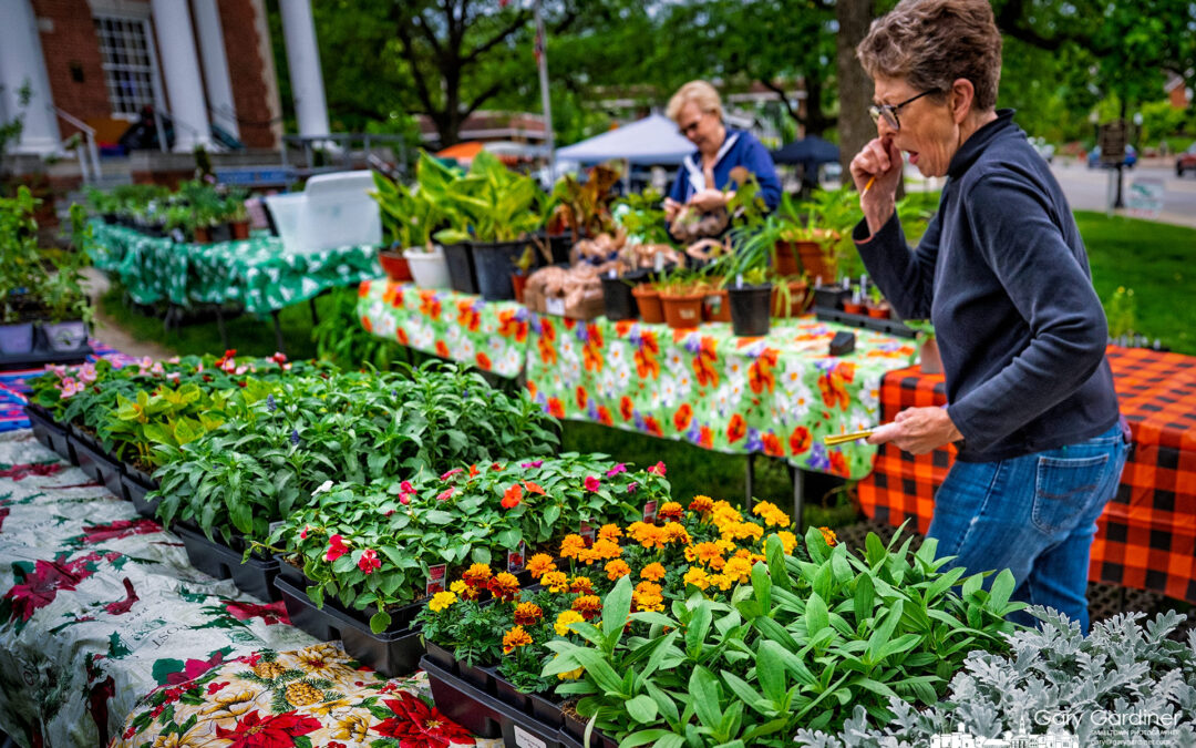Arranging The Garden