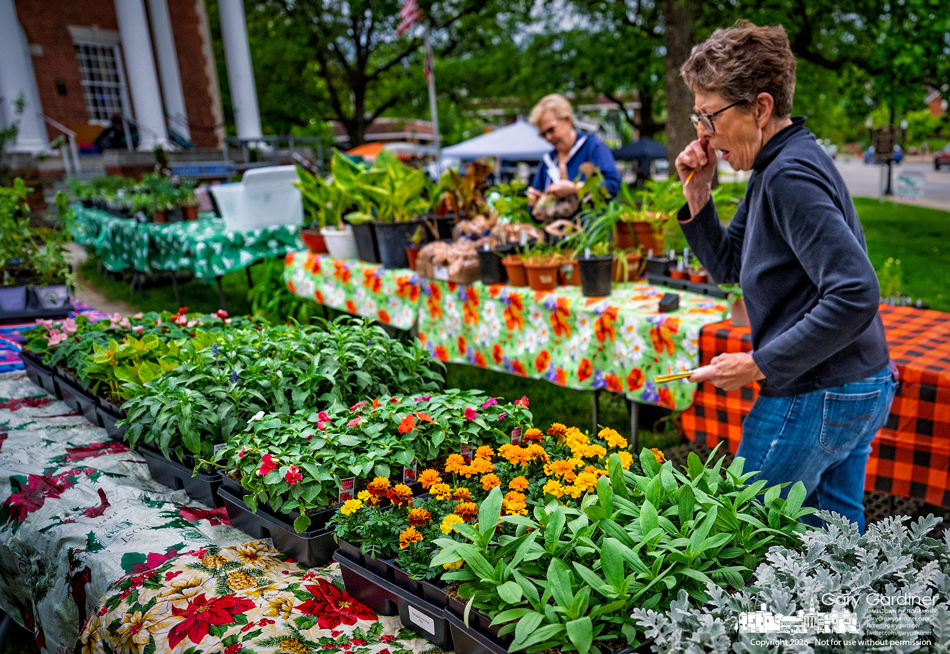 A Westerville Garden Club volunteer surveys the flowers and their arrangement on sales tables as the club prepares for Saturday's annual plant sale on the front lawn of the Masonic Hall on South State Street. (My Final Photo for May 7., 2026. Photo by Gary Gardiner)