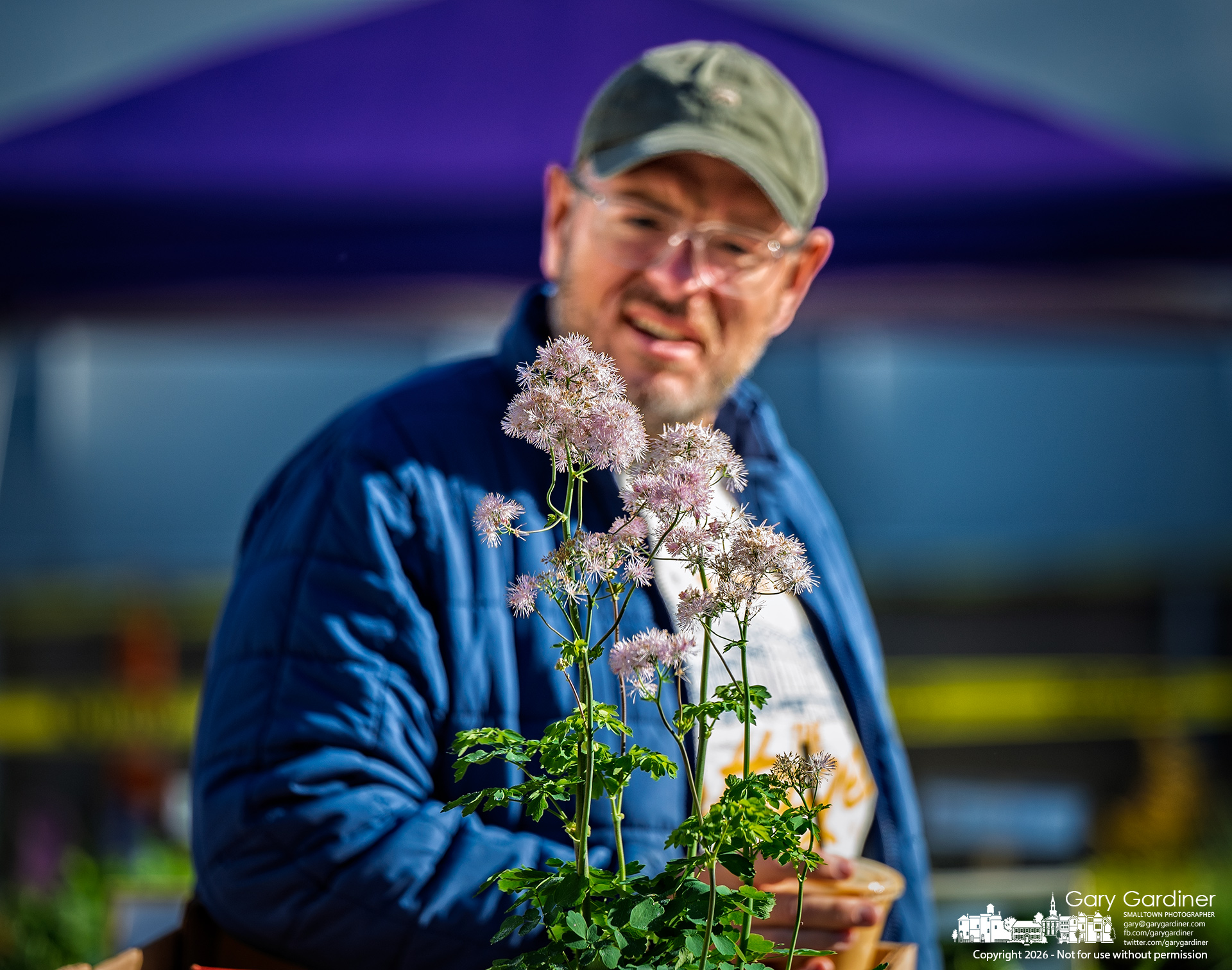 A shopper inspects a blooming meadow rue at Saturday's Inniswood Plant Sale. The two-day sale sold out except for herbs within the first two hours. (My Final Photo for May 2, 2026, by Gary Gardiner)