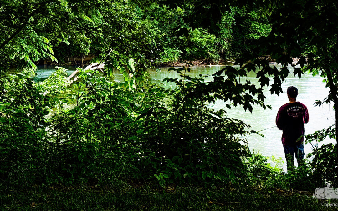 Fishing From The Shadows