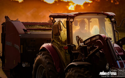 Baling At Sunset