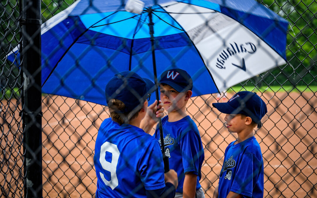 Baseball Golf Umbrella